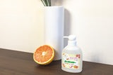 ヴァイラスキラージェル・Virus Killer Sanitzer （ポンプタイプ）